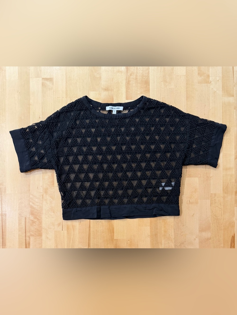 Elizabeth and James Leda Lattice Laser-Cut Mesh Crop Top - Black